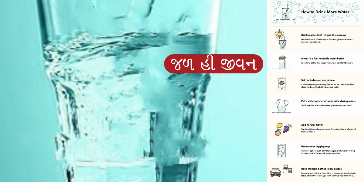 પાણી આપણા જીવન માટે કેટલું ઉપયોગી છે.