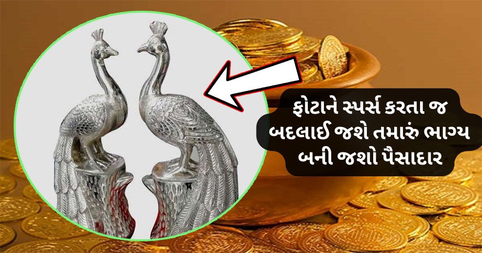 આ ચાંદી નો મોર તમને રાતોરાત બનાવી દેશે માલામાલ, ફોટાને ટચ કરી જાણો શું કરવું પડશે…